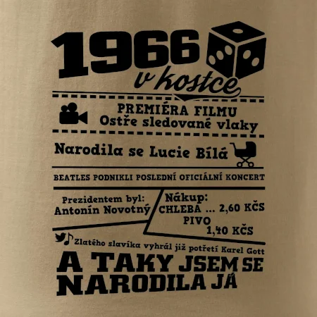 1966 v kostce