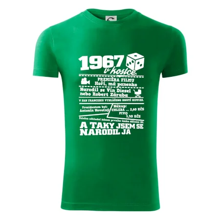 1967 v kostce