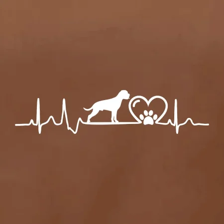 Německý boxer EKG
