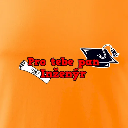 Pro tebe pan Inženýr