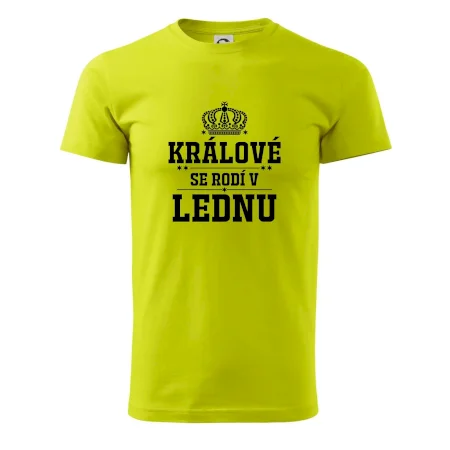 Králové se rodí v lednu