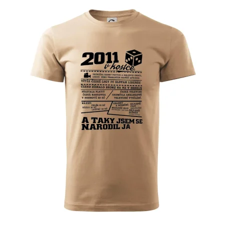 2011 v kostce