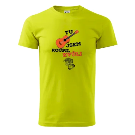 Tu kytaru jsem koupil kvůli tobě