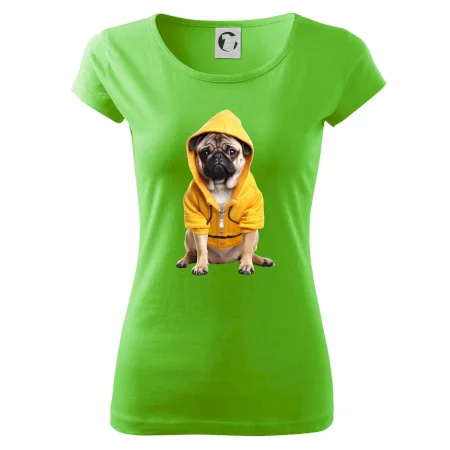 Mops v mikině