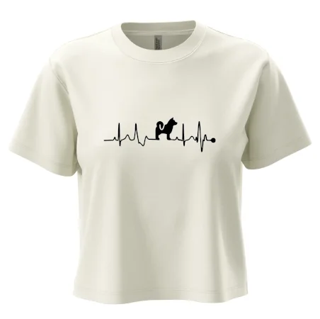 Shiba-Inu EKG