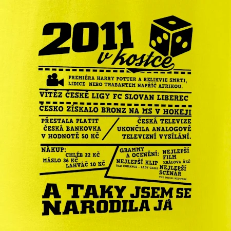 2011 v kostce