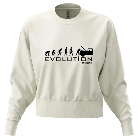 Evoluce mechanik
