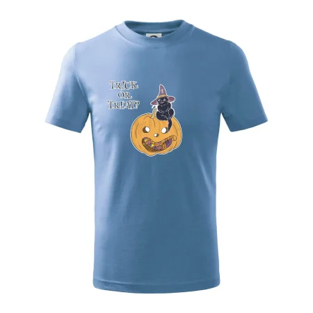 Dýně a kočka