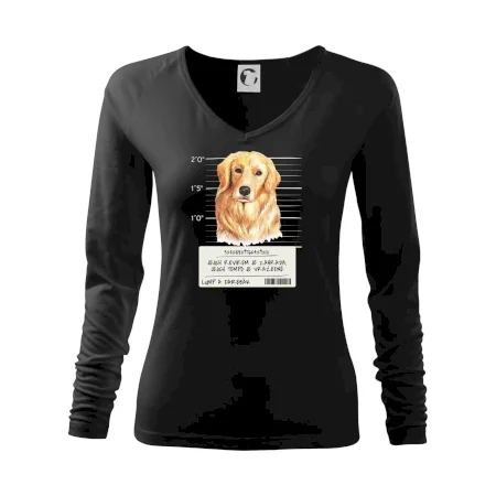 Lump a darebák zlatý retrívr