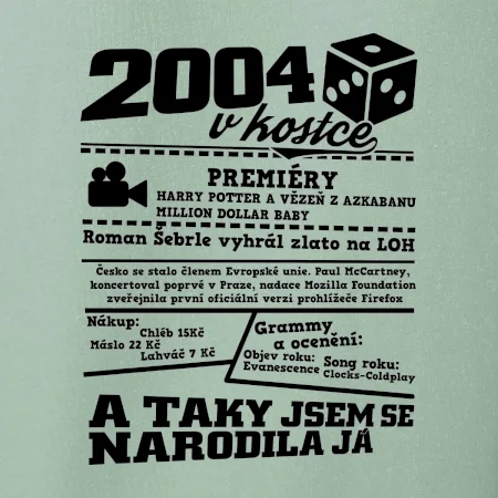 2004 v kostce