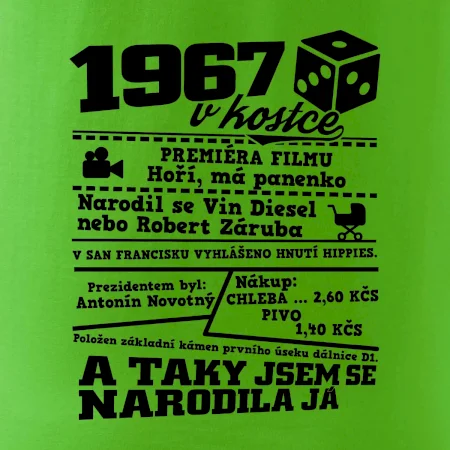 1967 v kostce