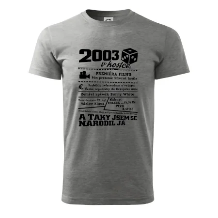 2003 v kostce