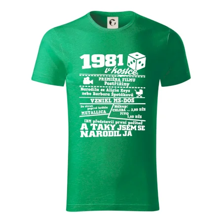 1981 v kostce