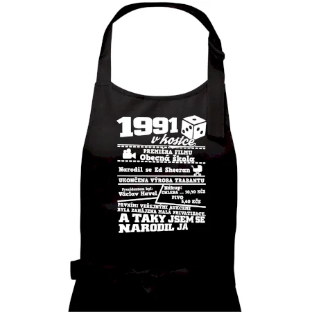 1991 v kostce