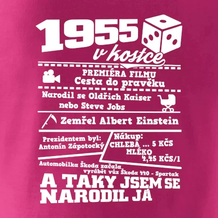 1955 v kostce