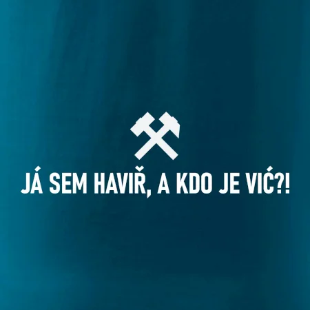 JÁ SEM HAVIŘ, A KDO JE VIĆ?!﻿