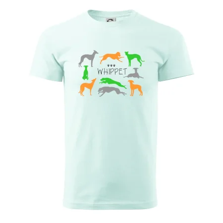Whippet barevný
