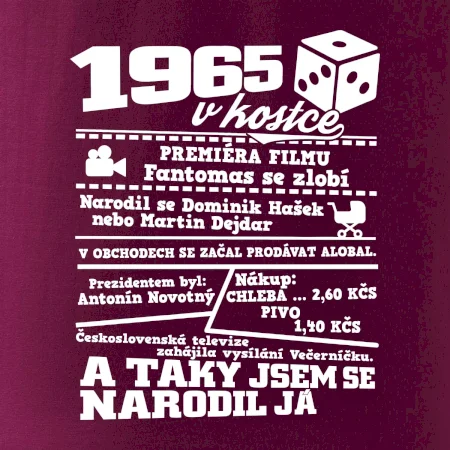 1965 v kostce