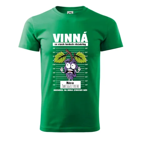 Vinná réva odsouzena Zweigeltrebe