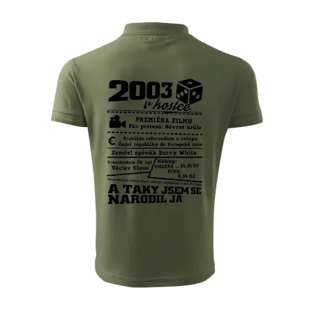 2003 v kostce