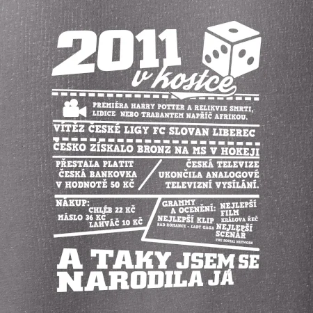 2011 v kostce