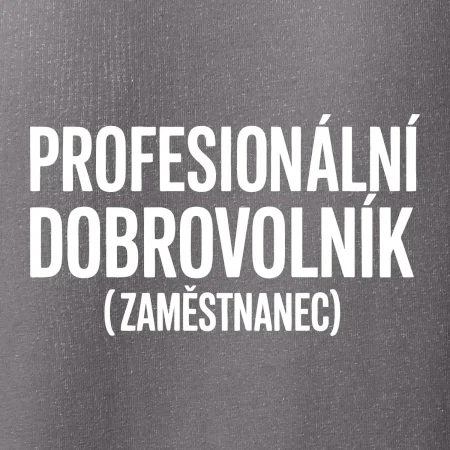 PROFESIONÁLNÍ DOBROVOLNÍK (zaměstnanec)