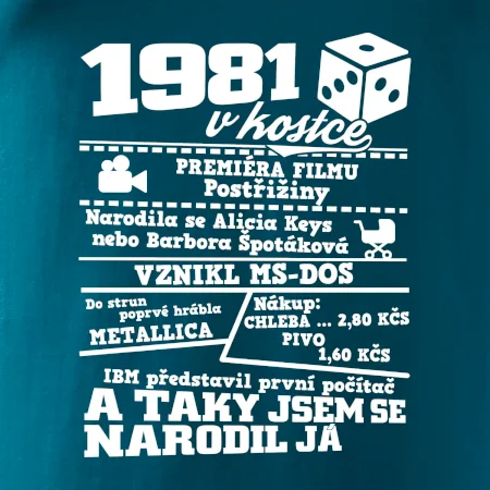 1981 v kostce