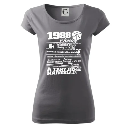 1988 v kostce