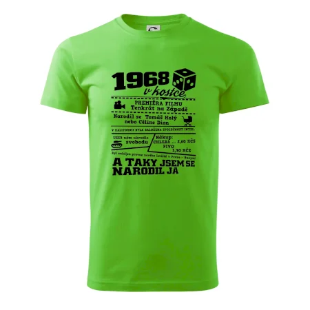 1968 v kostce