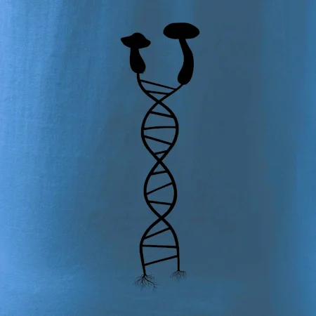DNA houby