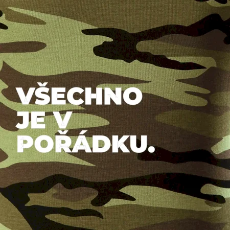 VŠECHNO JE V POŘÁDKU.