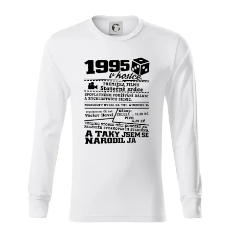 1995 v kostce