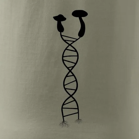 DNA houby