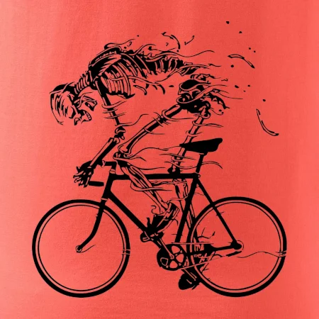Cyklo kostra