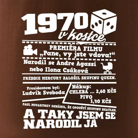 1970 v kostce