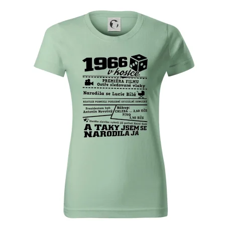 1966 v kostce