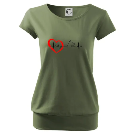 Německý ovčák ekg