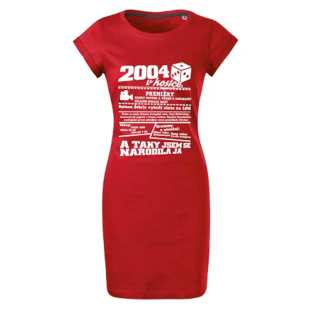 2004 v kostce