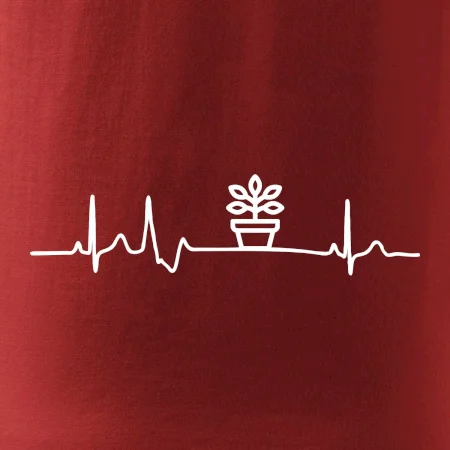 EKG fíkus