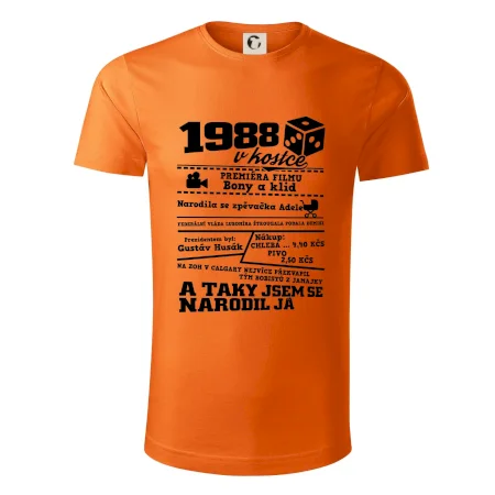 1988 v kostce