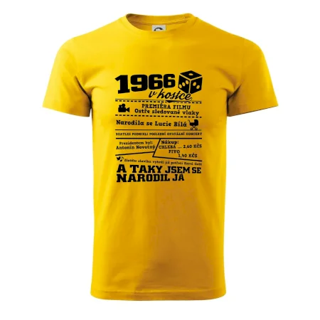 1966 v kostce