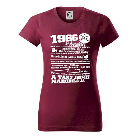 1966 v kostce