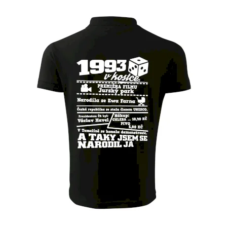 1993 v kostce