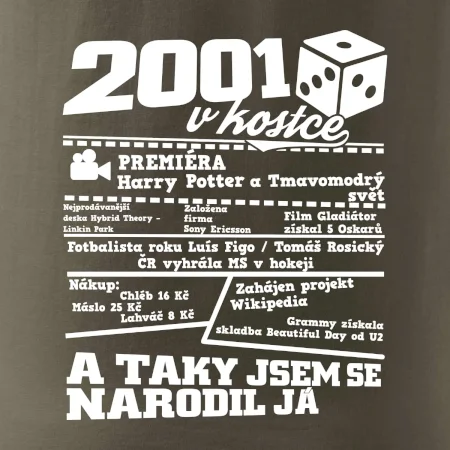 2001 v kostce