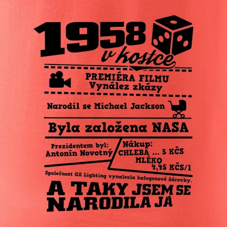 1958 v kostce
