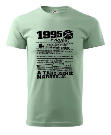 1995 v kostce