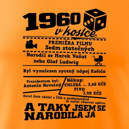 1960 v kostce