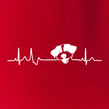 Jack Russell Terriér hrubosrstý Ekg