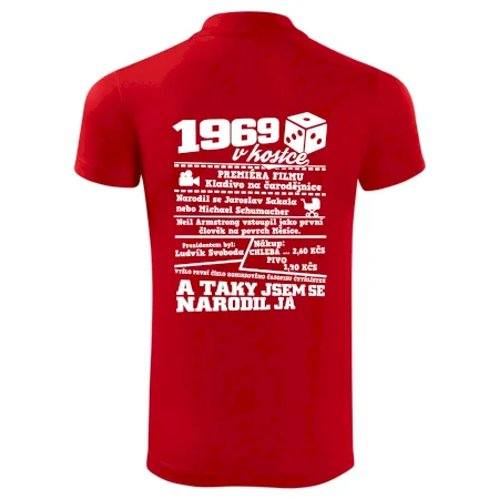 1969 v kostce