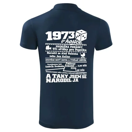1973 v kostce